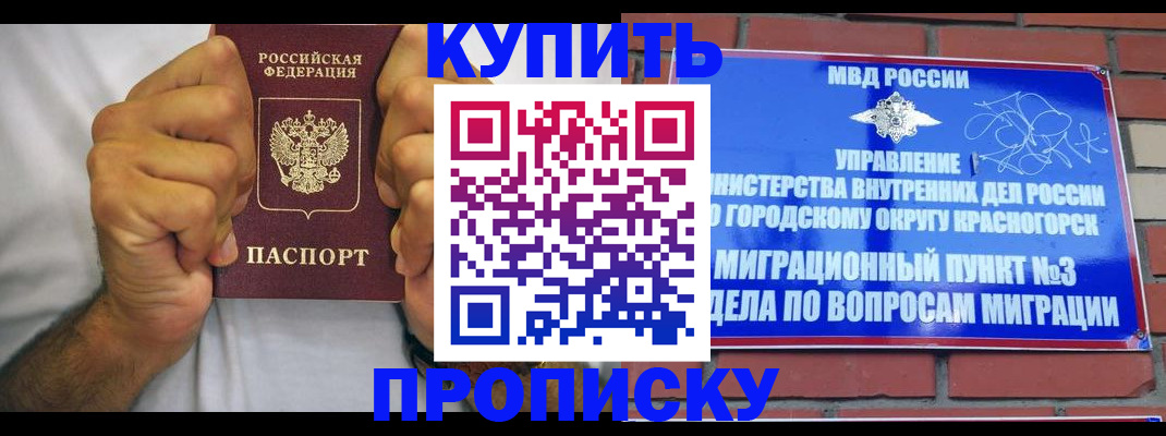 найти адрес прописки в Курске